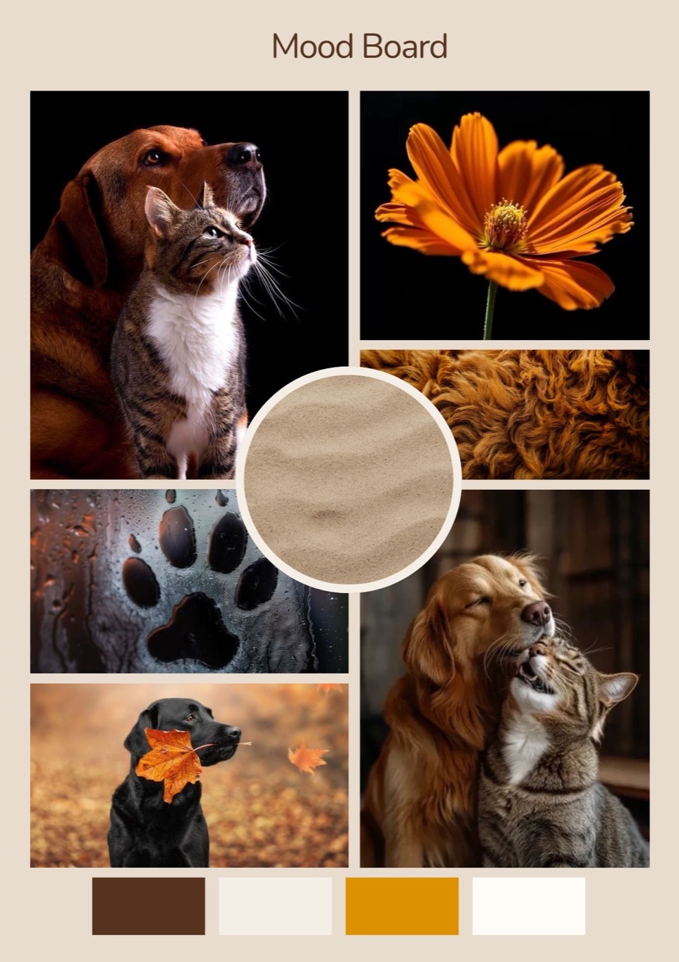 PetNest mood board with pets, natural textures, warm browns, soft beige, and golden orange accents